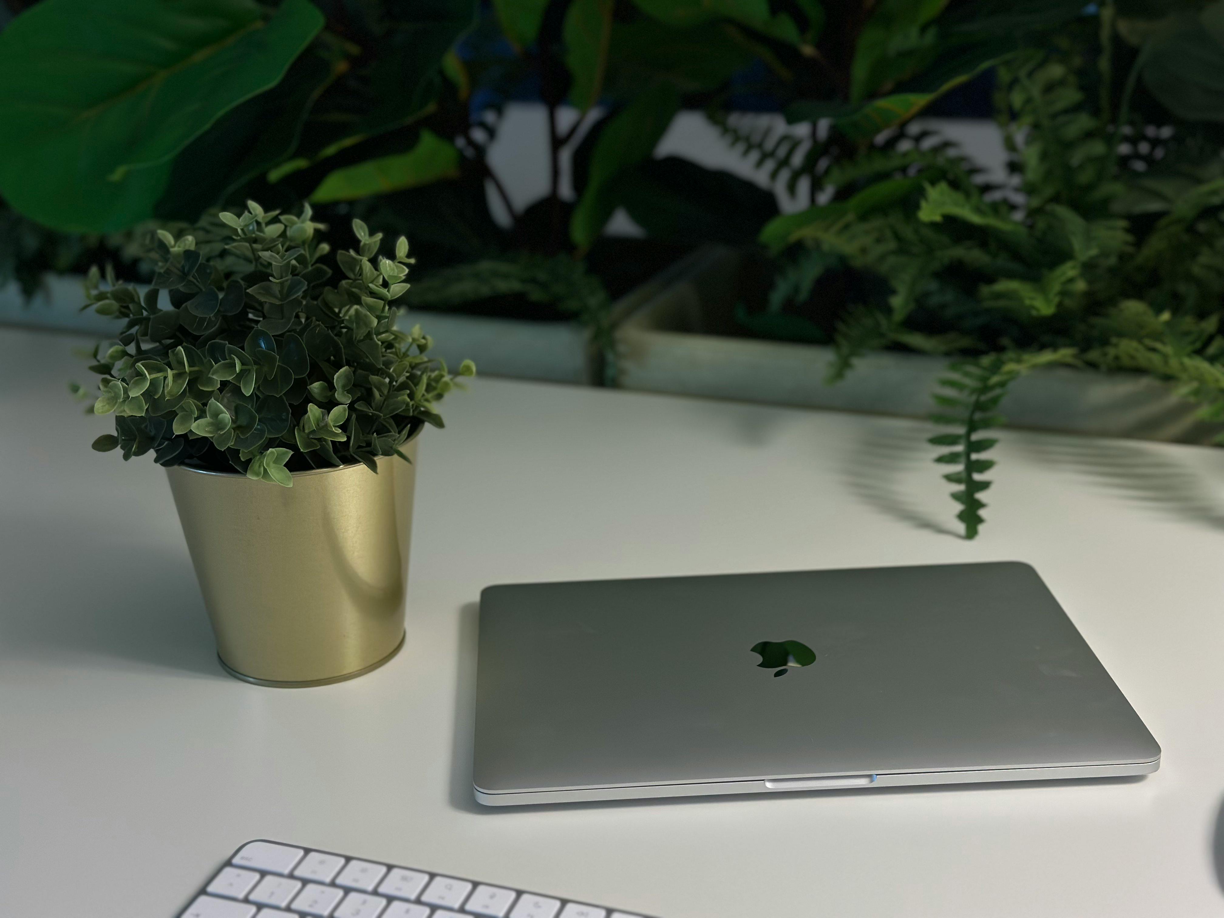 Ein sauberer und moderner Arbeitsplatz mit Laptop, Tastatur und Topfpflanze auf einem weißen Schreibtisch mit grünem Laub.